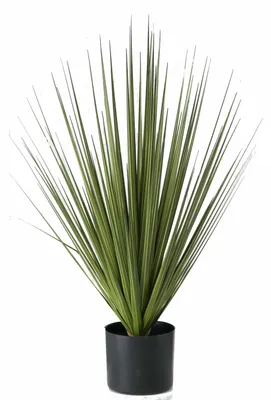 Produktbild von Kunstliches Ziergras - grun - Carex - im schwarzen Topf - 78 cm