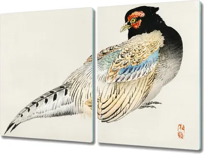 Produktbild von Coloray Schneidebrett Herdabdeckplatte 2x40x52 cm Kochplattenabdeckung Küchenbrett Hackbrett - Tier Vogel