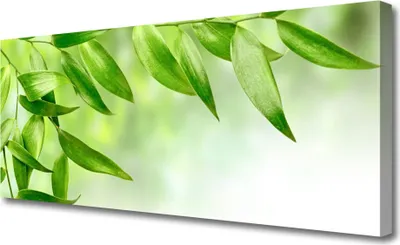 Produktbild von Tulup Leinwand-Bilder 125x50 Wandbild Canvas Kunstdruck Blätter Pflanzen