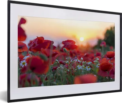 Produktbild von MuchoWow® Gerahmtes Poster Landschaft mit Mohnblumen am Morgen 60x40 cm - Poster mit Schwarzem Bilderrahmen Wandposter Rahmen Foto Bilder - Schlafzimmer - Plakat in Rahmen - Drucken