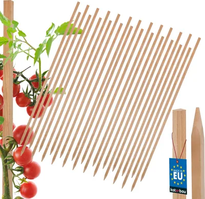 Produktbild von KOTARBAU® 25er Set Tomatenstäbe Pflanzstäbe 150 cm Holz Zaunpfahl Holzpfosten Holzpflock angespitzt Pflanzenstütze Zaunpfosten Holz Rankhilfe Holz Pflanzenstäbe zur Stabilisierung Pflanzenstützen
