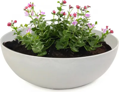 Produktbild von Pflanzschalen für draussen Dekoschalen rund beige grau 20 cm