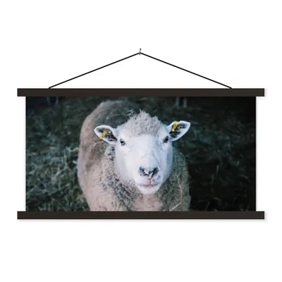 Produktbild von MuchoWow® Textilposter Schafe - Tiere - Rinder 60x30 cm mit schwarzem Rahmen - Textilien