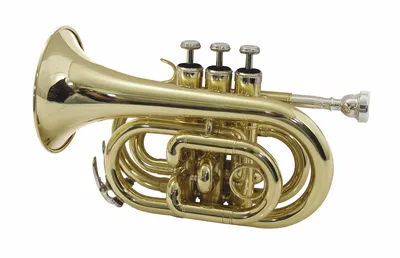 Produktbild von DIMAVERY TP-300 B-Pocket-Trompete, gold