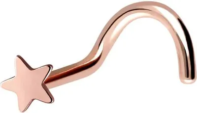 Produktbild von Nasenpiercing, Nasenstecker Chirurgenstahl Nasenstecker STERN