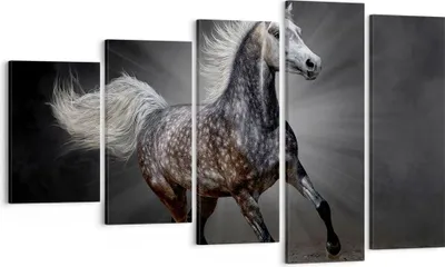Produktbild von Bild auf Leinwand - Leinwandbild - Pferd Tier Natur - 100x60cm - Wand Bild - Wanddeko - Wandbilder - Leinwanddruck - Bilder - Kunstdruck - Wanddekoration - Leinwand bilder - Wandkunst - EG100x60-3593