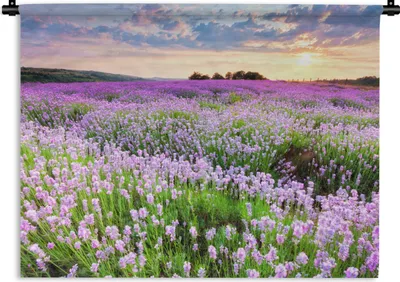 Produktbild von MuchoWow® Wandteppich Wandbehang Blumen - Lila - Himmel 120x90 cm Tapisserie Dekoration Wandtuch - Wohnen - Aufhänger für die Wand