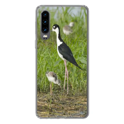 Produktbild von MuchoWow® Handyhülle Schutzhülle Hülle für Huawei P30 Vogel - Gras - Küken - Sumpf Silikon Softcase Handy Hülle - Kartenbesitzer