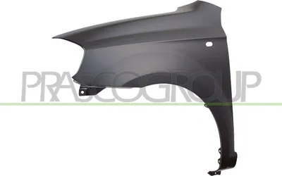 Produktbild von PRASCO DW3273014 Kotflügel Vorne Links für CHEVROLET Aveo / Kalos Limousine (T250, T255)