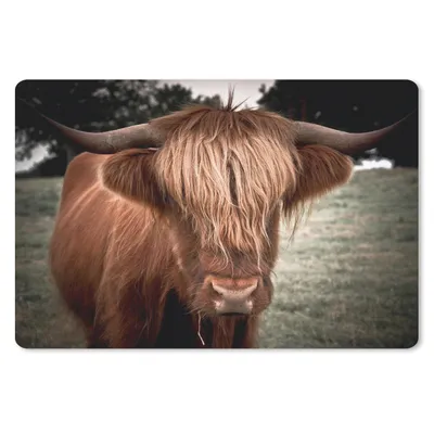 Produktbild von MuchoWow® Mauspad Mousepad Schottischer Highlander - Baum - Gras 27x18 cm - Mousepads - Maus Mat - Pad - Mausunterlage - Büroartikel - Desk Matten