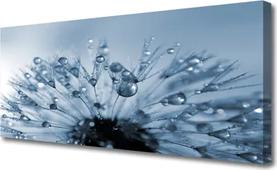 Produktbild von Tulup Leinwand-Bilder 125x50 Wandbild Canvas Kunstdruck Pusteblume Pflanzen