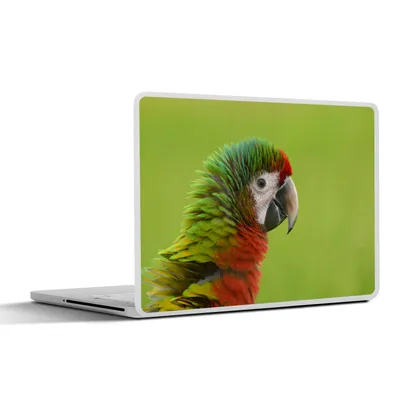 Produktbild von MuchoWow® Laptop Aufkleber Sticker Cover Tiere - Tropisch - Papagei 25x18 cm - Laptop-Deko
