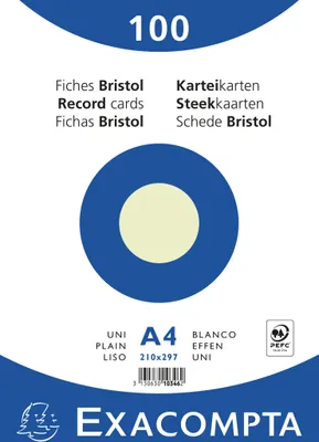 Image de Exacompta 10x 100 fiches sous film bristol uni non perforé 210x297mm Vert 10346E