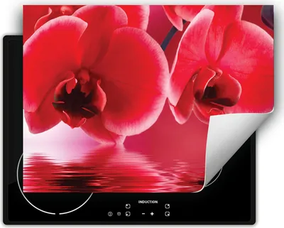 Produktbild von DarHaus Herdabdeckplatte 70x52 cm Anti Rutsch Matte Aufrollbar, rot - Orchidee