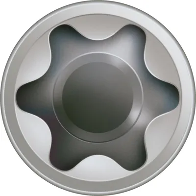 Image de SPAX® 0537000500505 SPAX® Terrassenschrauben T25 Zylinderkopf Edelstahl A2 0537000500505 5 mm x 50 mm, 500 St.