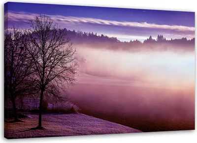 Obrázok produktu pre Obraz na plátne hmla nad jazerom krajina fialová 60x40 cm Feeby fialová maľba na stenu pripravené na zavesenie