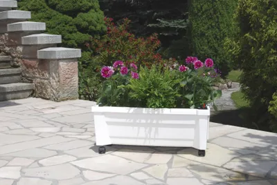 Zdjęcie produktu dla Donica KHW „Calypso” z tworzywa sztucznego na kółkach z systemem nawadniającym; wymiary 79 x 35 x 33 cm; odporna na promieniowanie UV i warunki atmosferyczne. Kolor: biały.