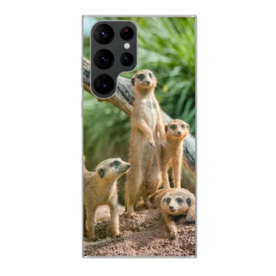 Produktbild von MuchoWow® Handyhülle Schutzhülle Hülle für Samsung Galaxy S22 Ultra Familie - Tiere - Erdmännchen Silikon Softcase Handy Hülle - Abbildung