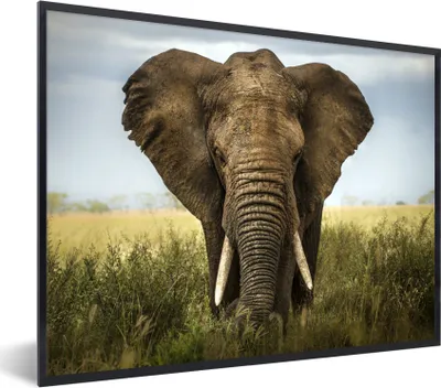 Produktbild von MuchoWow® Gerahmtes Poster Elefant - Natur - Gras - Tiere - Landschaft 40x30 cm - Poster mit Schwarzem Bilderrahmen Wandposter Rahmen Foto Bilder - Kunstposter - Wanddekorationen