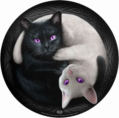 Produktbild von Spiral Schneidebrett  Ying Yang Cats multicolor Gothic, Horror Glas Standard