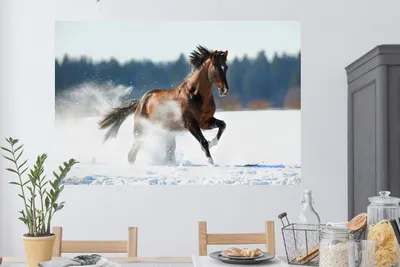 Produktbild von MuchoWow® - Selbstklebend - Fototapeten