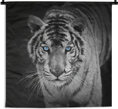 Produktbild von MuchoWow® Wandteppich Wandbehang Tiere - Tiger - Schwarz und weiß - Augen - Blau 60x60 cm Tapisserie Dekoration Wandtuch - Dekorationen - Wand Decke