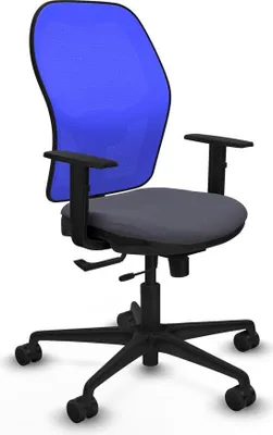 Immagine prodotto di Sedia da ufficio Jorquera Piqueras y Crespo, modello 1D036N0, colore grigio scuro