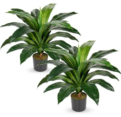 Künstlicher Drachenbaum, 2er-Set, 60 cm, in Topf, für Innen & Außen