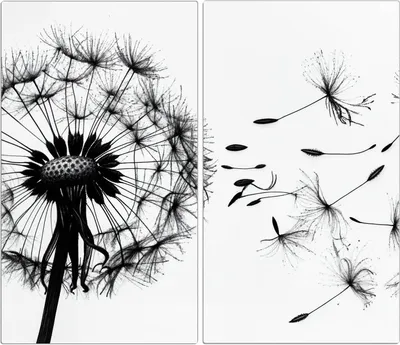 Produktbild von Spritzschutz Herdabdeckplatte Schneidebrett aus Glas Pusteblume 2-Teilig (60x52cm)