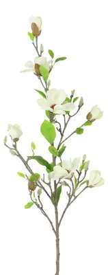 Productafbeelding van Kunstbloem vertakt Magnolia wit Countryfield