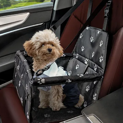 Produktbild von Hunde Autositz Verstärkt Atmungsaktiv Waschbar Faltbar 40x32x24cm für Kleine Haustiere