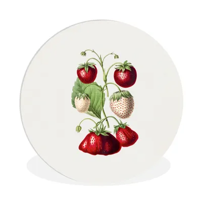 Produktbild von MuchoWow® Rundes Wandbild - Runde Bilder Erdbeeren - Pflanze - Frucht Ø 90 cm Kreis Wanddekoration Kunststoff - Wandkreis - Wandschmuck - Wand-Kreis - Wohnzimmer - Bild - Runde - Wanddeko - Dibond - Kunstdrucke