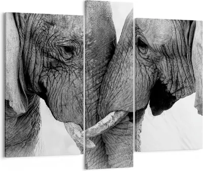 Produktbild von Bild auf Leinwand - Leinwandbild - 3 Teile - Elefanten Safari Bond - 95x80cm - Wand Bild - Wanddeko - Wandbilder - Leinwanddruck - Bilder - Wanddekoration - Leinwand bilder - Wandbild - CB95x80-4973