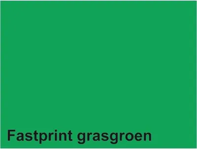 Image de Papier à copier Fastprint A4 160 g vert gazon 50 feuilles