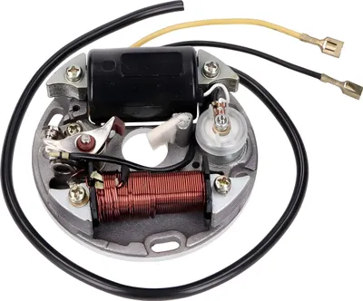 Immagine prodotto di Statore alternatore 6V 17W in senso orario per Puch Maxi E50