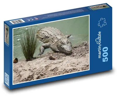 Produktbild von Puzzle 500 Krokodil am Flussufer - martinpuzzle