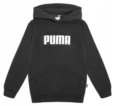 Produktbild von Puma Sweatshirts 84759701, Größe: 104