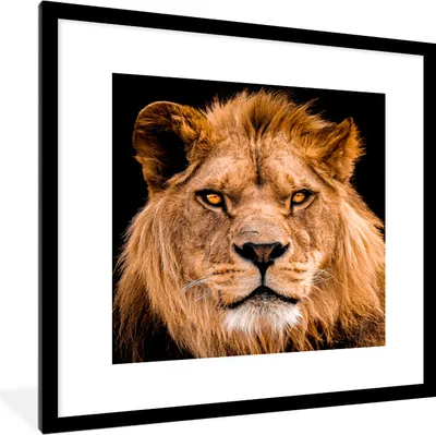 Produktbild von MuchoWow® MuchoWow® Gerahmtes Poster Löwe - Porträt - Schwarz 40x40 cm - Poster mit zchwarzem Bilderrahmen - Poster - Plakat im Rahmen