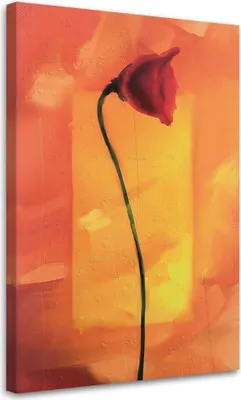 Produktbild von Leinwandbild einsame mohnblume 70x100 cm Feeby orange wandbild bereit zum aufhängen
