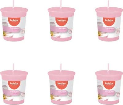 Obrázek produktu pro Bolsius - True Scents - Votivní svíčka kulatá - 53/45 - Magnolie - výhodné balení - 6 kusů