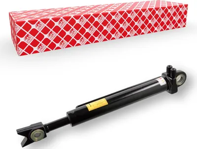 Produktbild von FEBI BILSTEIN Kippzylinder Fahrerhaus 103263 Rechts für RENAULT TRUCKS Magnum 487mm 48mm