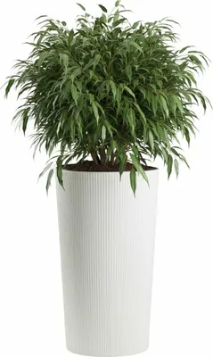 Produktbild von HowHomely | Pflanzkübel - Blumentopf - weiß - 75x41 cm - Rillenstruktur - Übertopf - Blumenkübel