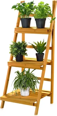A wooden plant stand with three shelves, holding several potted plants.