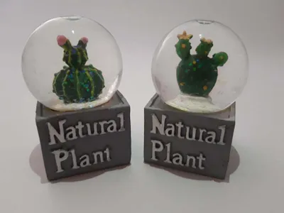 Produktbild von 2 Schneekugeln Kakteen, Kaktus, Glitzerkugel Glitterkugel Pflanzen Blumen Dekoidee
