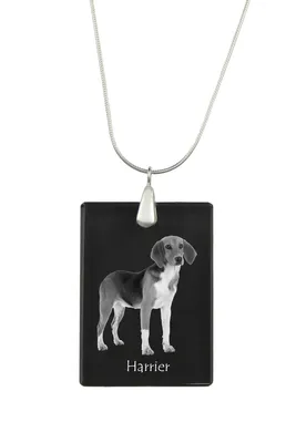Produktbild von Harrier - Kristallanhänger mit Hund, Silberhalskette mit Foto, personalisierter Anhänger der Marke Art-Dog