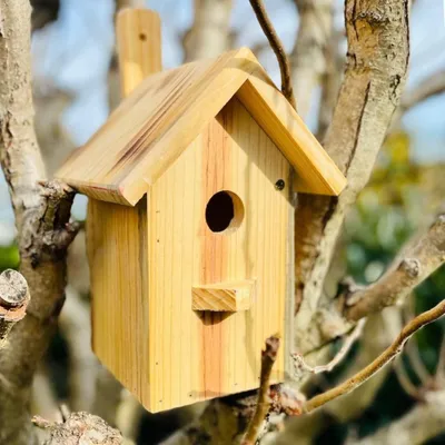 Zdjęcie produktu dla Drewniany domek dla małych ptaków śpiewających