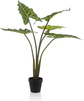 Image de Plante artificielle Alocasia Frydek - 80cm - Plante d'intérieur artificielle de