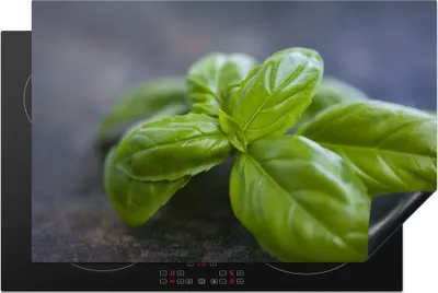 Produktbild von KitchenYeah© Herdabdeckplatte Nahaufnahme von Basilikumblättern , 81x52cm, Küche Deko, Glaskeramikkochfeld Herdabdeckung, Abdeckplatte fùr Kochfeld