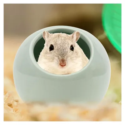 Produktbild von Kühlnest aus Keramik für Kleintiere