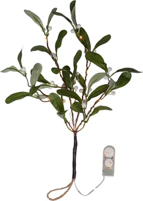Produktbild von Star LED-Mistelzweig 'Mistel',